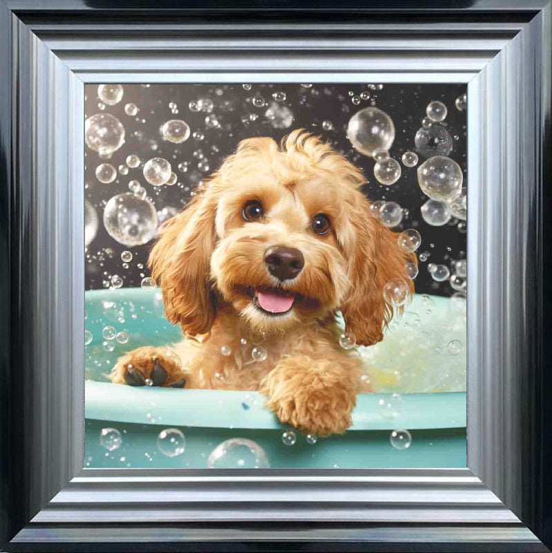Cockapoo Bath Time
