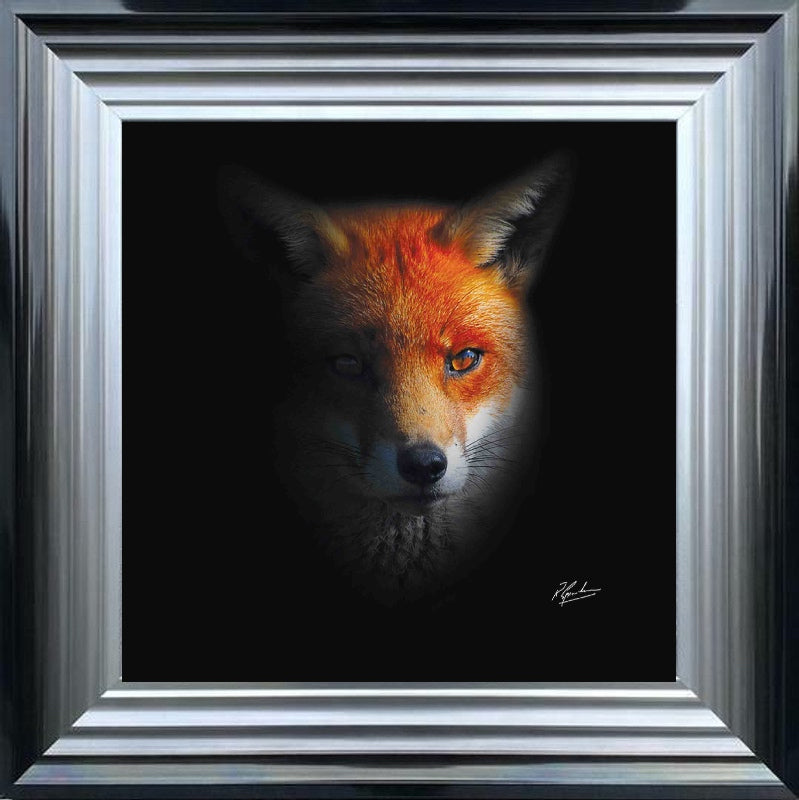 Dark Fox