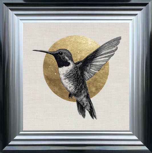 Golden Kingfisher