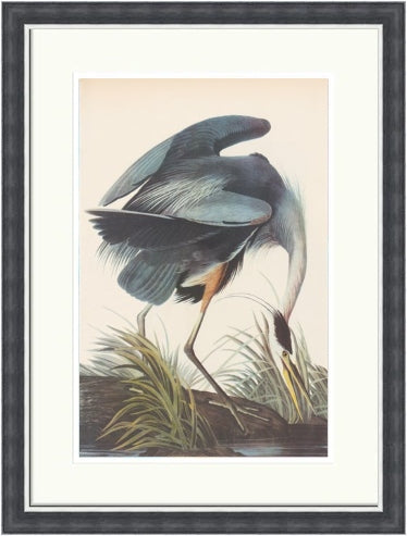 Audubon 'Great Blue Heron' Limited Edition Giclee Print – Hand Numbered, Signed, 30x44, Art Deco Style, 2015