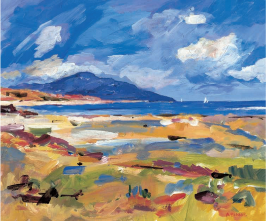 Holy Isle by Alistair Bennie