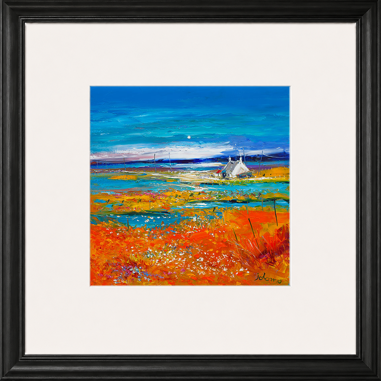 Machair Wild Cotton and Wild Flowers, South Uist by John Lowrie Morrison (Jolomo)