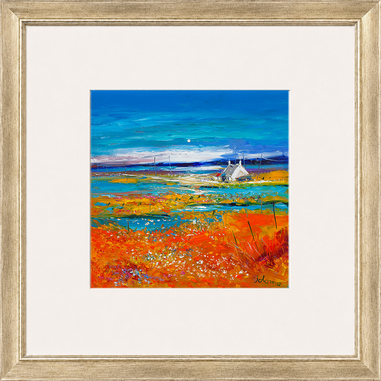 Machair Wild Cotton and Wild Flowers, South Uist by John Lowrie Morrison (Jolomo)