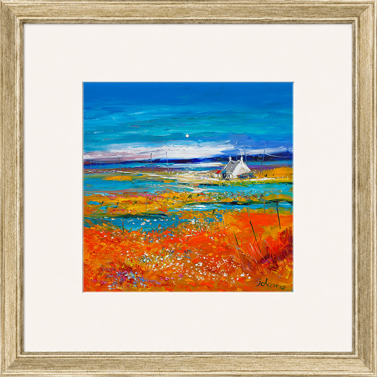Machair Wild Cotton and Wild Flowers, South Uist by John Lowrie Morrison (Jolomo)