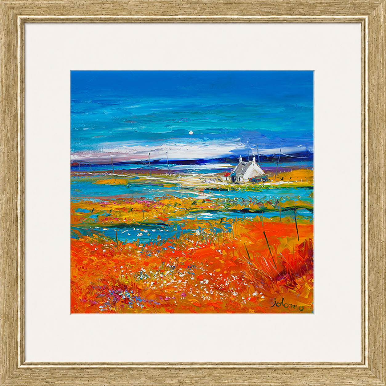Machair Wild Cotton and Wild Flowers, South Uist by John Lowrie Morrison (Jolomo)