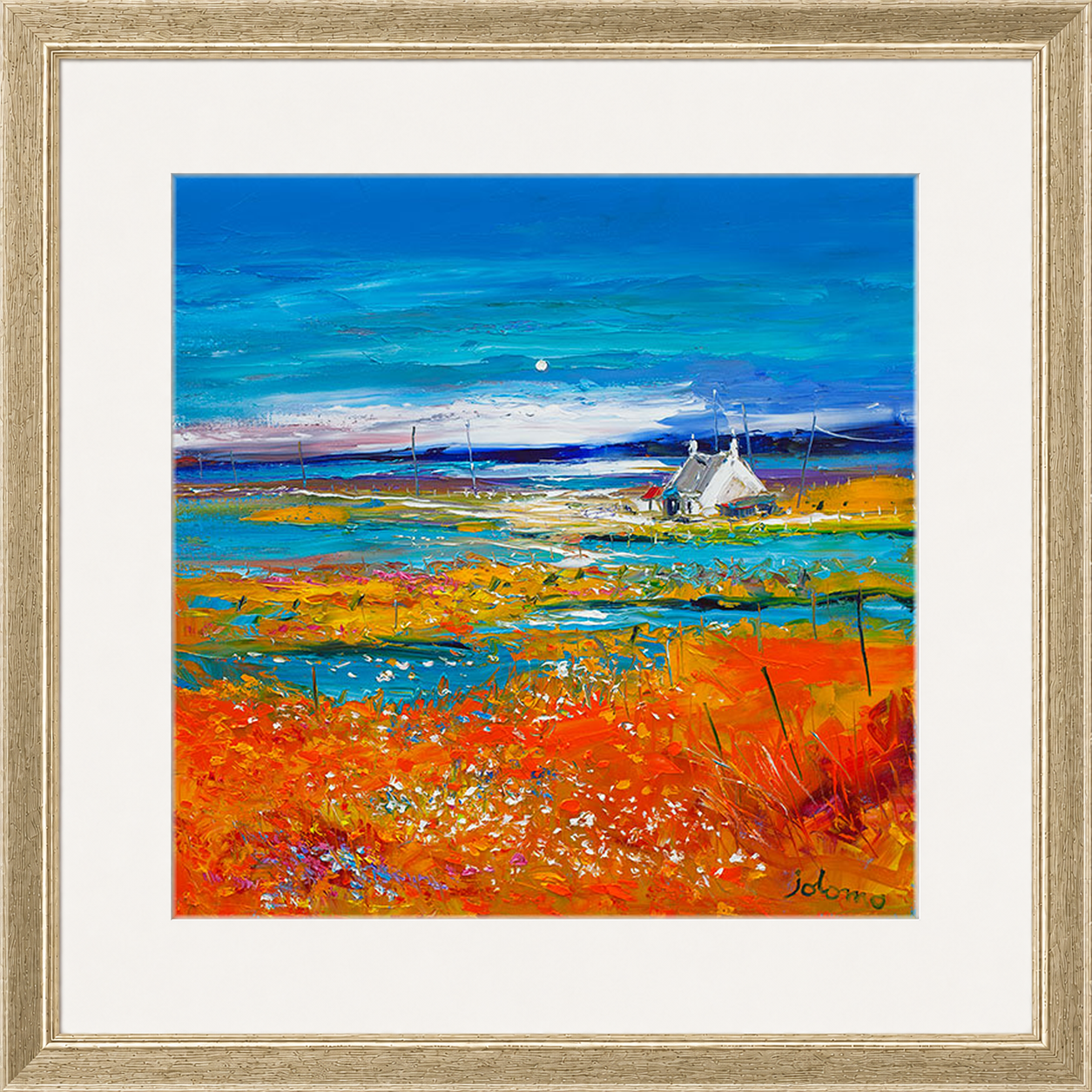 Machair Wild Cotton and Wild Flowers, South Uist by John Lowrie Morrison (Jolomo)