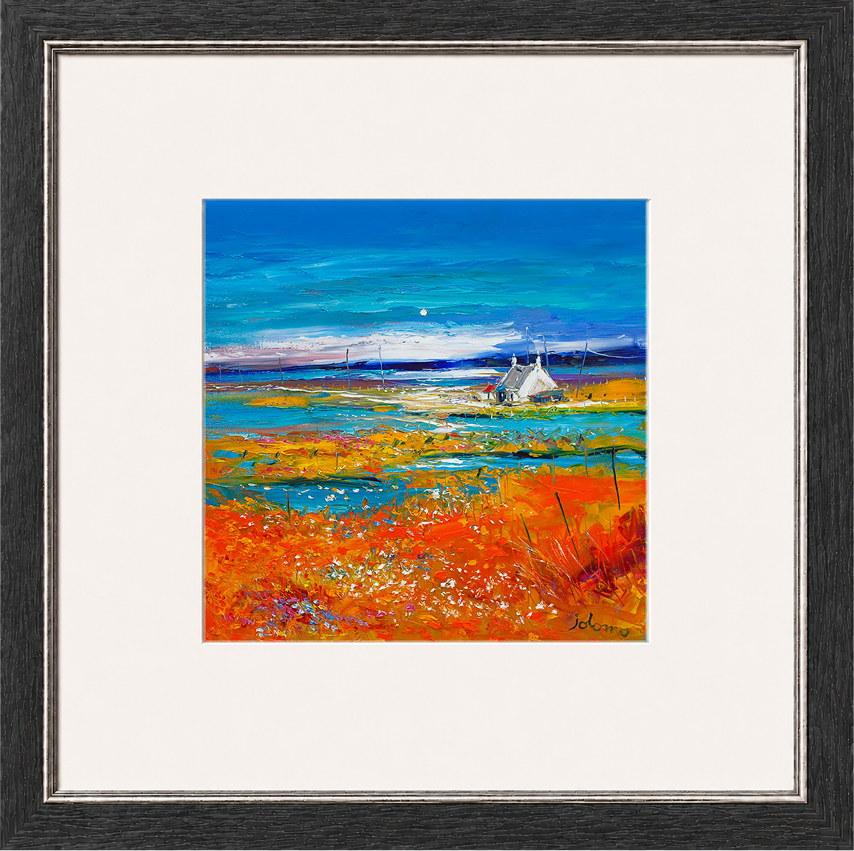 Machair Wild Cotton and Wild Flowers, South Uist by John Lowrie Morrison (Jolomo)