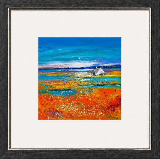 Machair Wild Cotton and Wild Flowers, South Uist by John Lowrie Morrison (Jolomo)