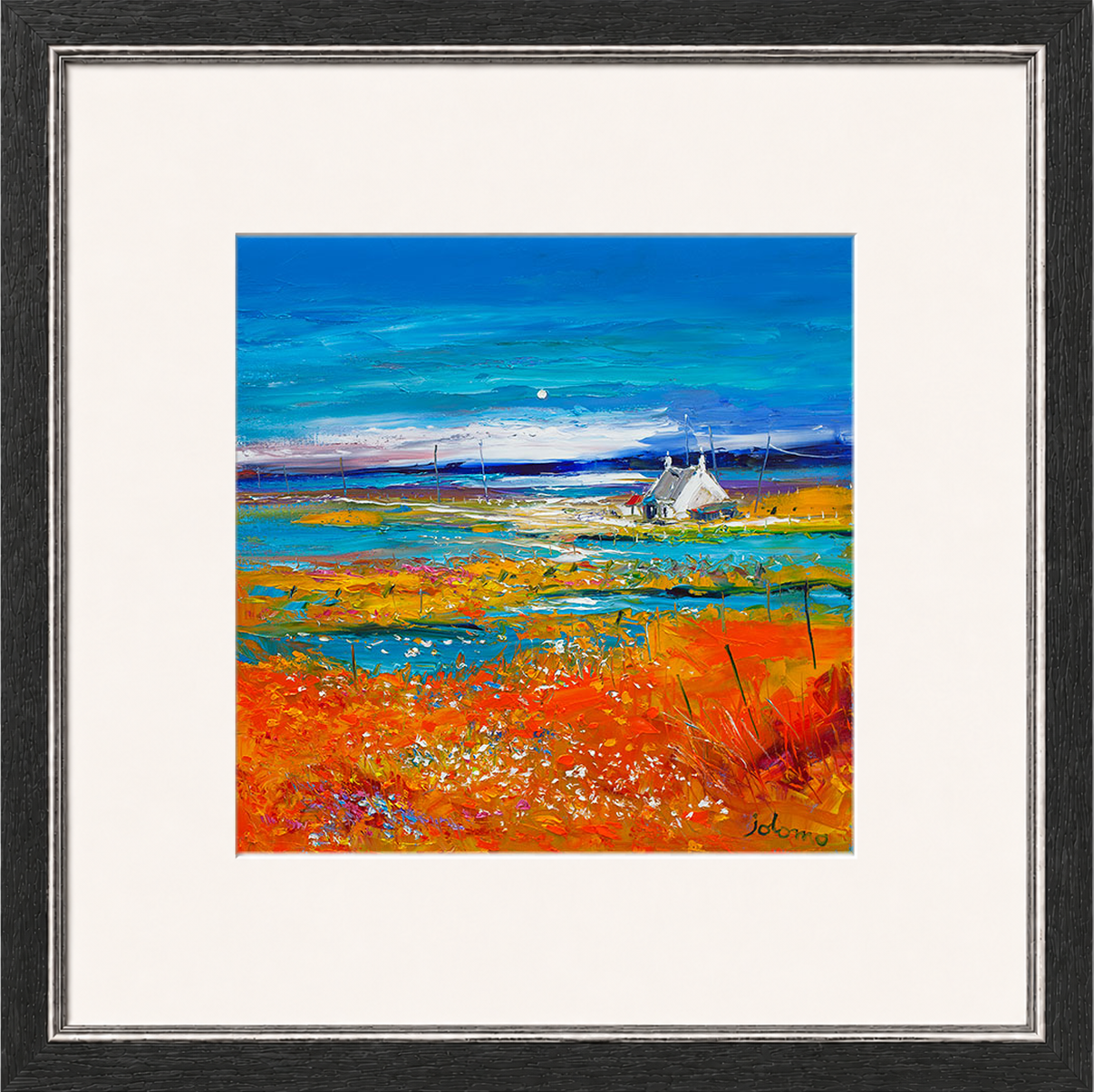Machair Wild Cotton and Wild Flowers, South Uist by John Lowrie Morrison (Jolomo)