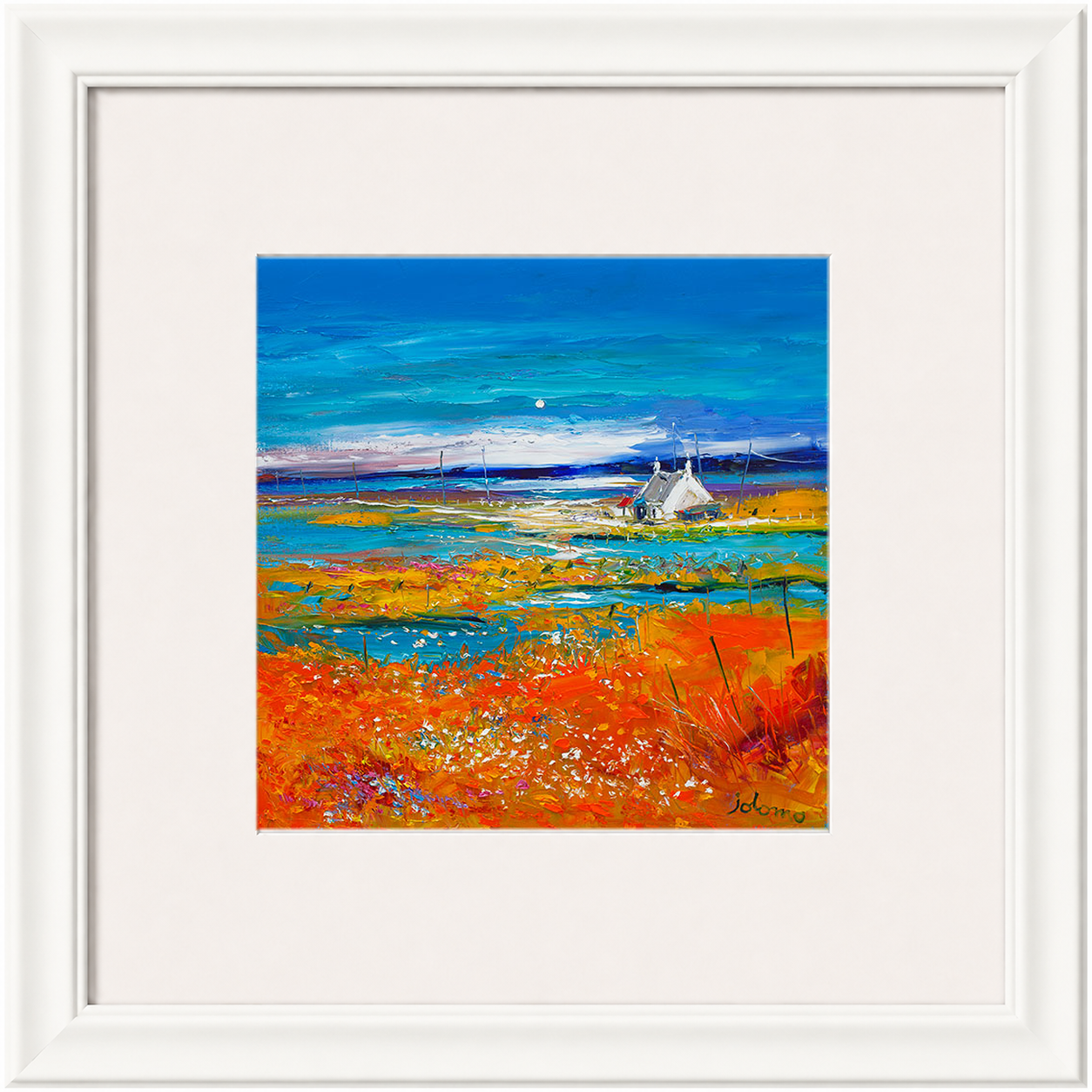 Machair Wild Cotton and Wild Flowers, South Uist by John Lowrie Morrison (Jolomo)