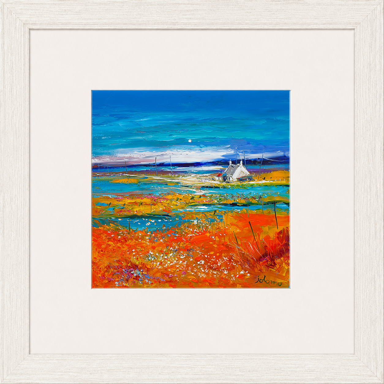 Machair Wild Cotton and Wild Flowers, South Uist by John Lowrie Morrison (Jolomo)
