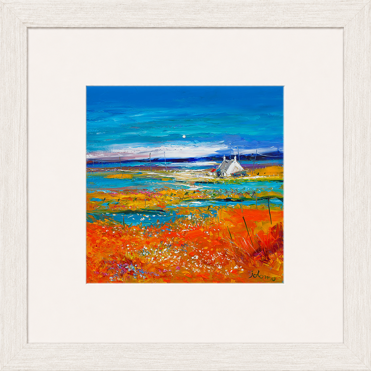Machair Wild Cotton and Wild Flowers, South Uist by John Lowrie Morrison (Jolomo)