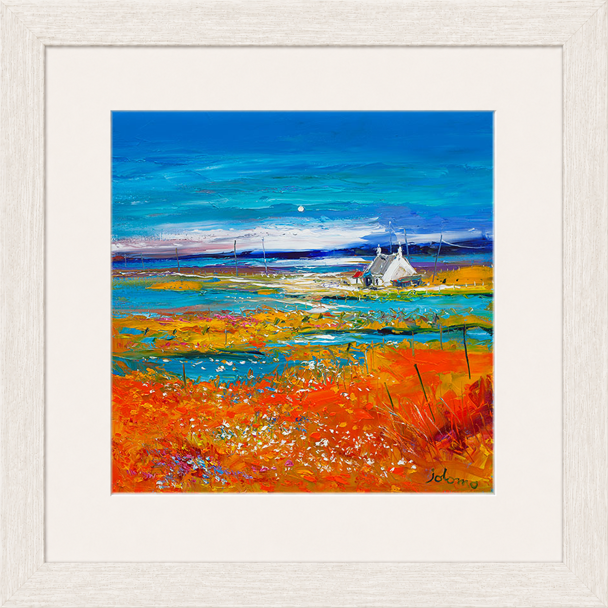 Machair Wild Cotton and Wild Flowers, South Uist by John Lowrie Morrison (Jolomo)