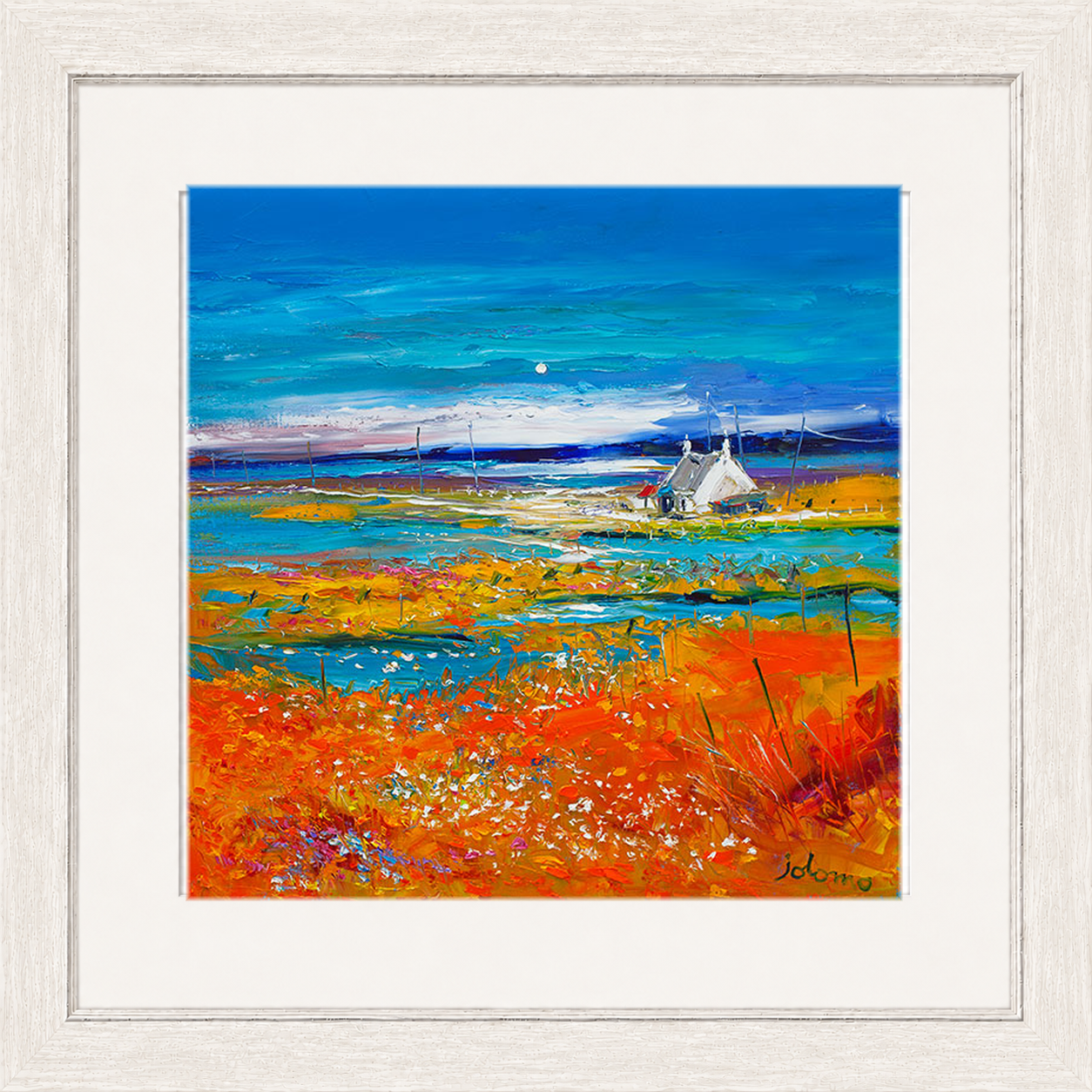 Machair Wild Cotton and Wild Flowers, South Uist by John Lowrie Morrison (Jolomo)