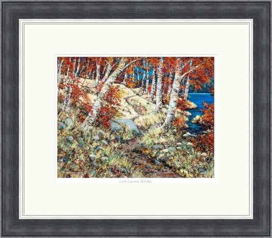 Loch Lomond Birches by John Bathgate