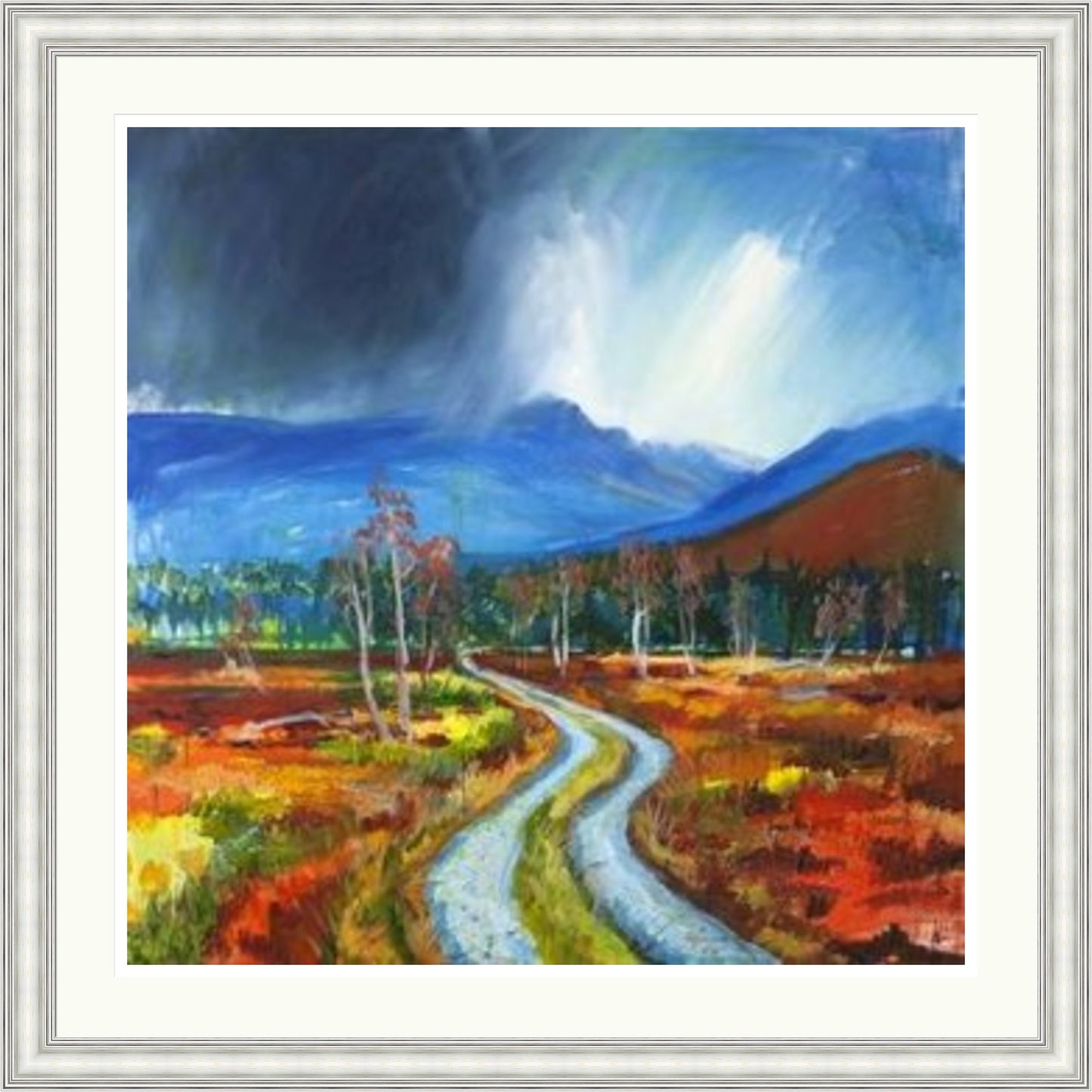 Drove Road to the Lairig Ghru by Ann Vastano