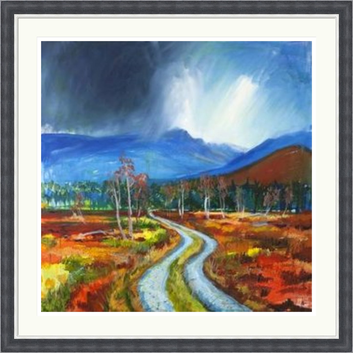 Drove Road to the Lairig Ghru by Ann Vastano