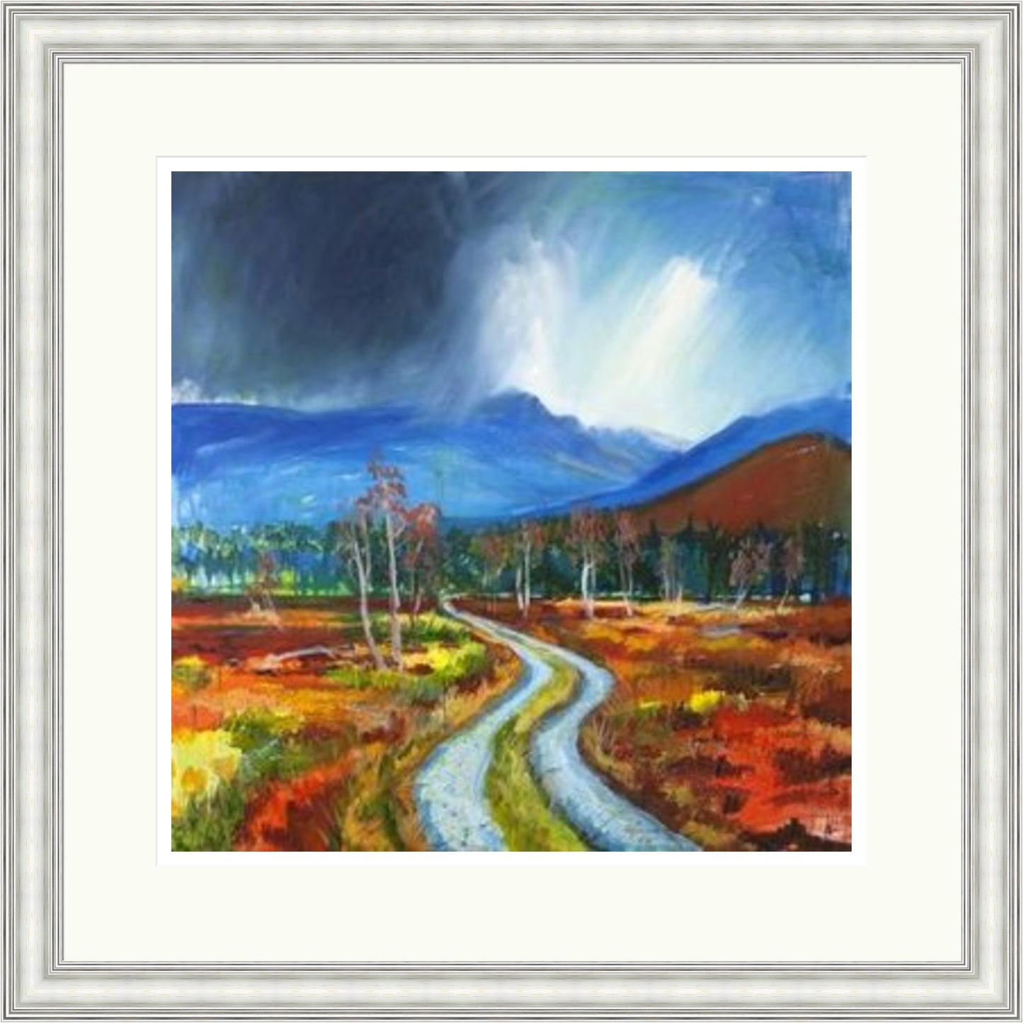 Drove Road to the Lairig Ghru by Ann Vastano