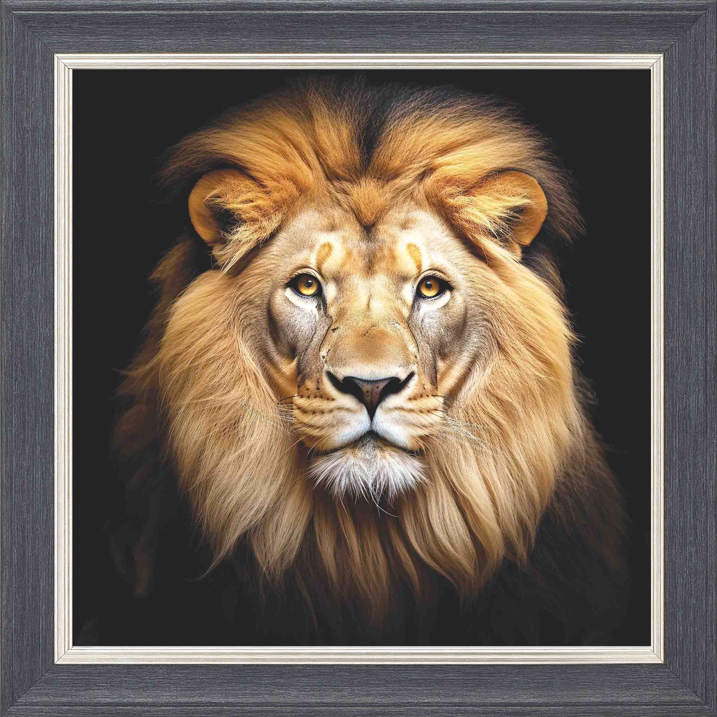 Majestic Lion No Crown Framed Wall Art - Grey with Silver Trim