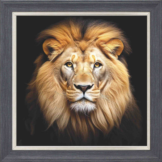 Majestic Lion No Crown Framed Wall Art - Grey with Silver Trim