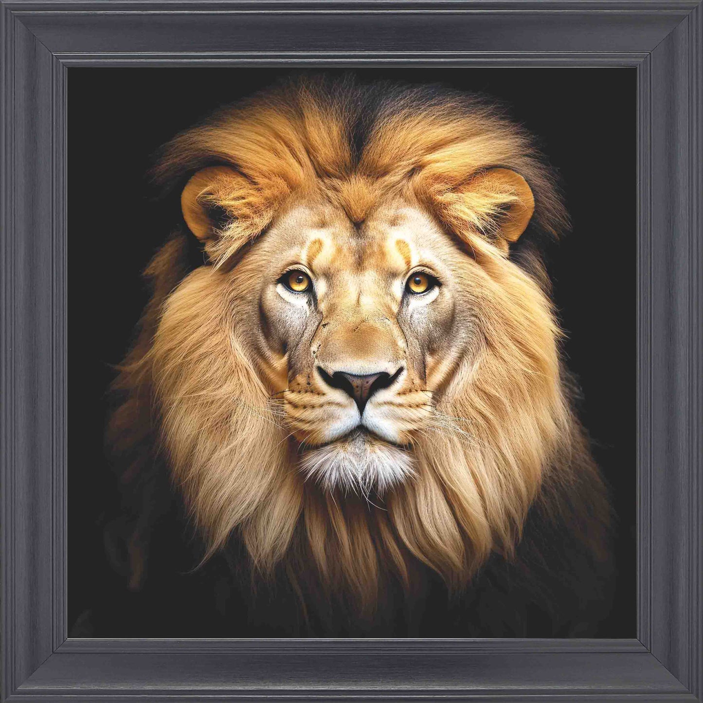 Majestic Lion No Crown Framed Wall Art - Black