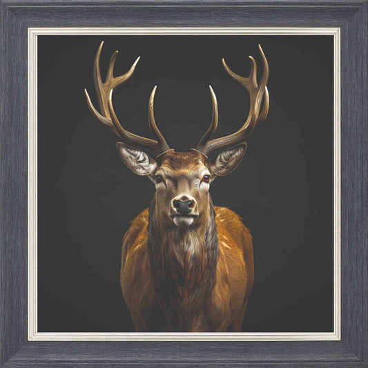 Majestic Stag Isolated Background Framed Wall Art - Grey with Silver Trim