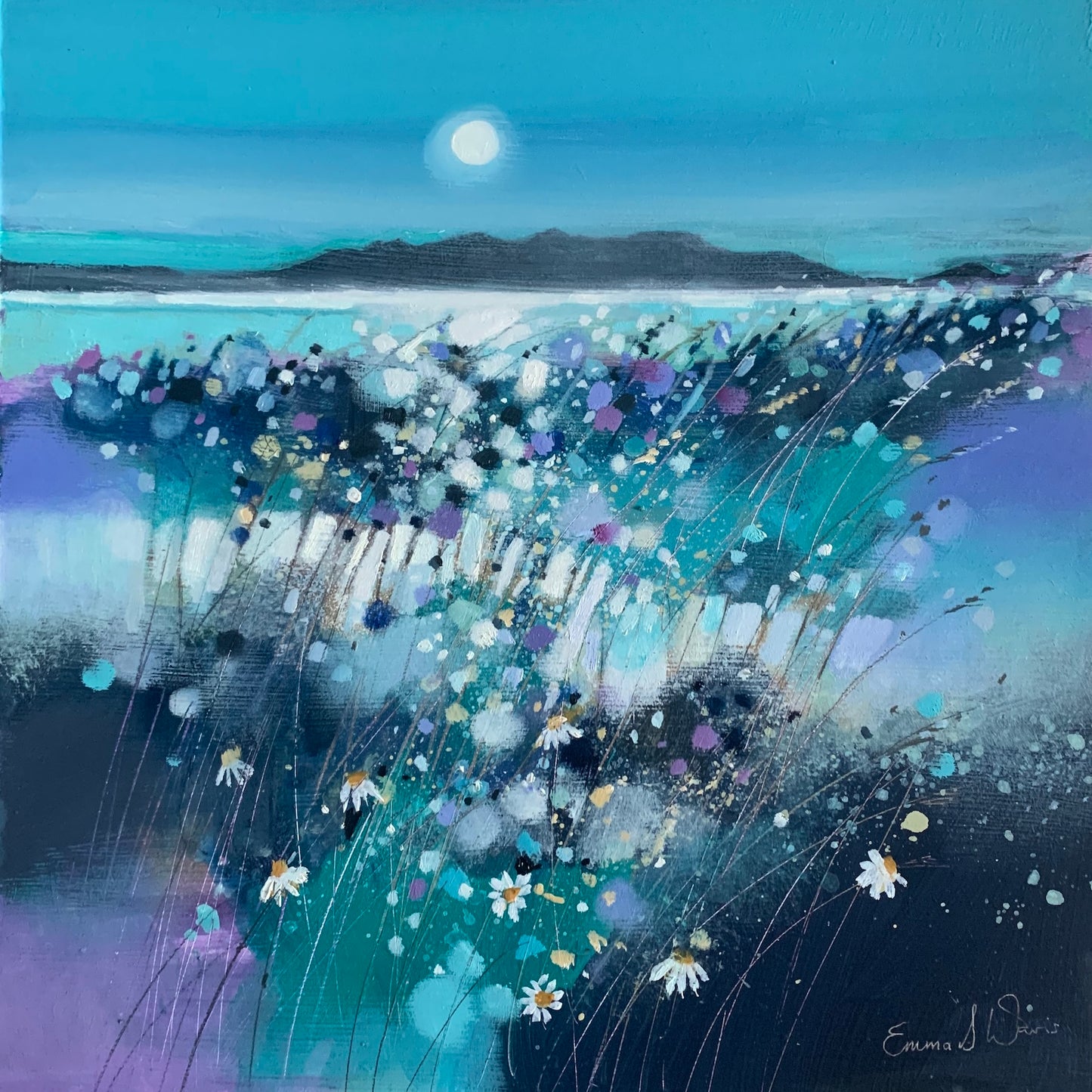 Moonlight And Arran by Emma S Davis