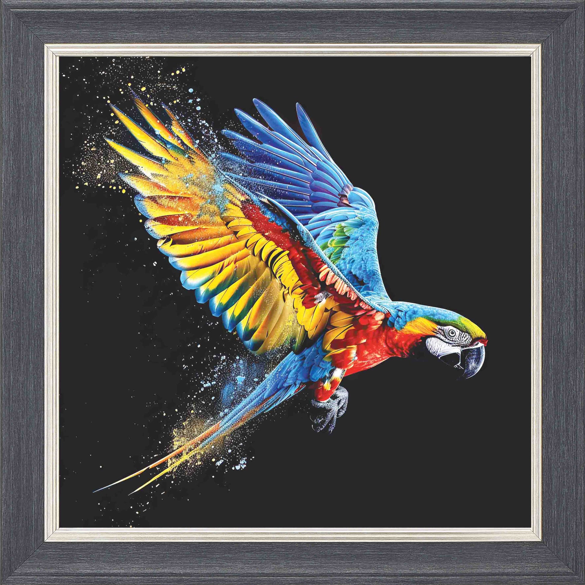 Multicolour Parrot In Flight 2 Framed Wall Art - Grey with Silver Trim