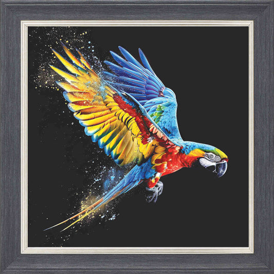 Multicolour Parrot In Flight 2 Framed Wall Art - Grey with Silver Trim
