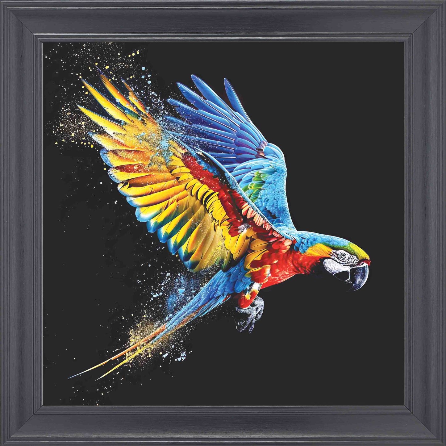 Multicolour Parrot In Flight 2 Framed Wall Art - Black