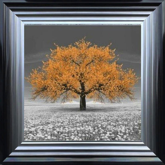 Orange Cherry Blossom Tree