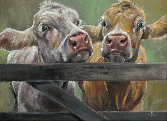 Two Moos by Louise Brown