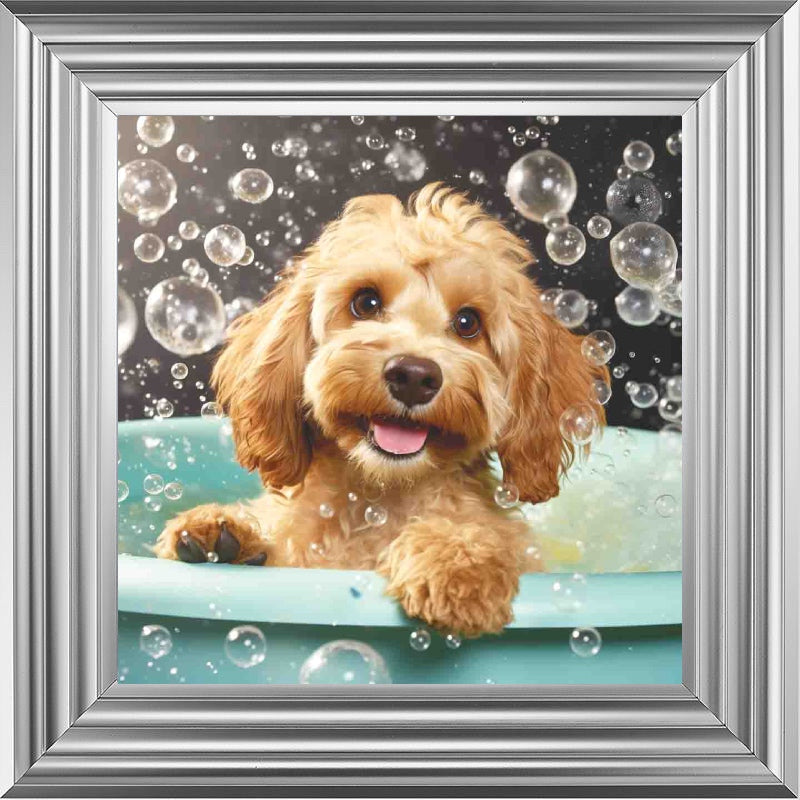Cockapoo Bath Time