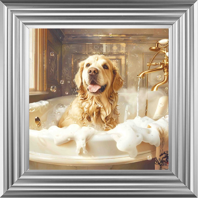 Golden Retriever Bath Time