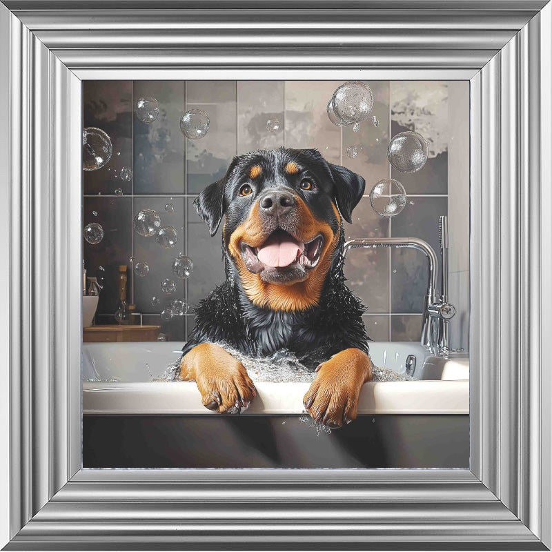 Rotweiller Bath Time