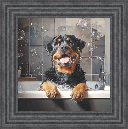 Rotweiller Bath Time