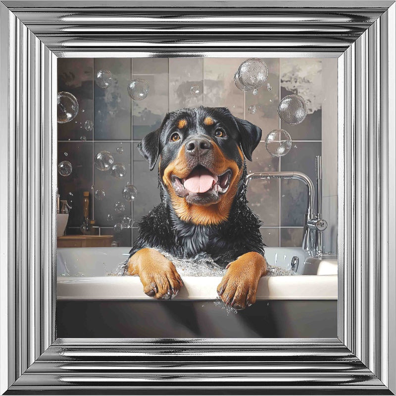 Rotweiller Bath Time