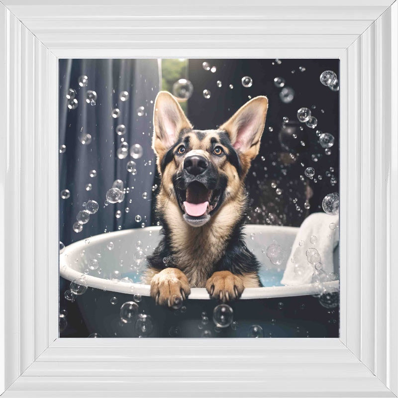 German Shepard Bath Time
