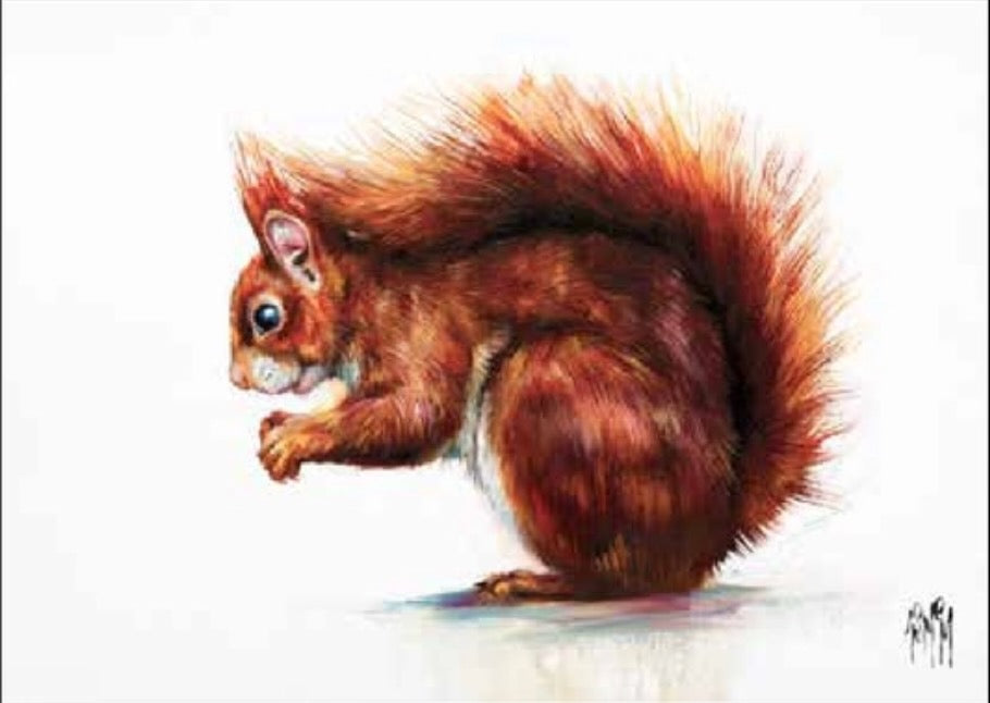 Saffron Squirrel Art Print by Georgina McMaster