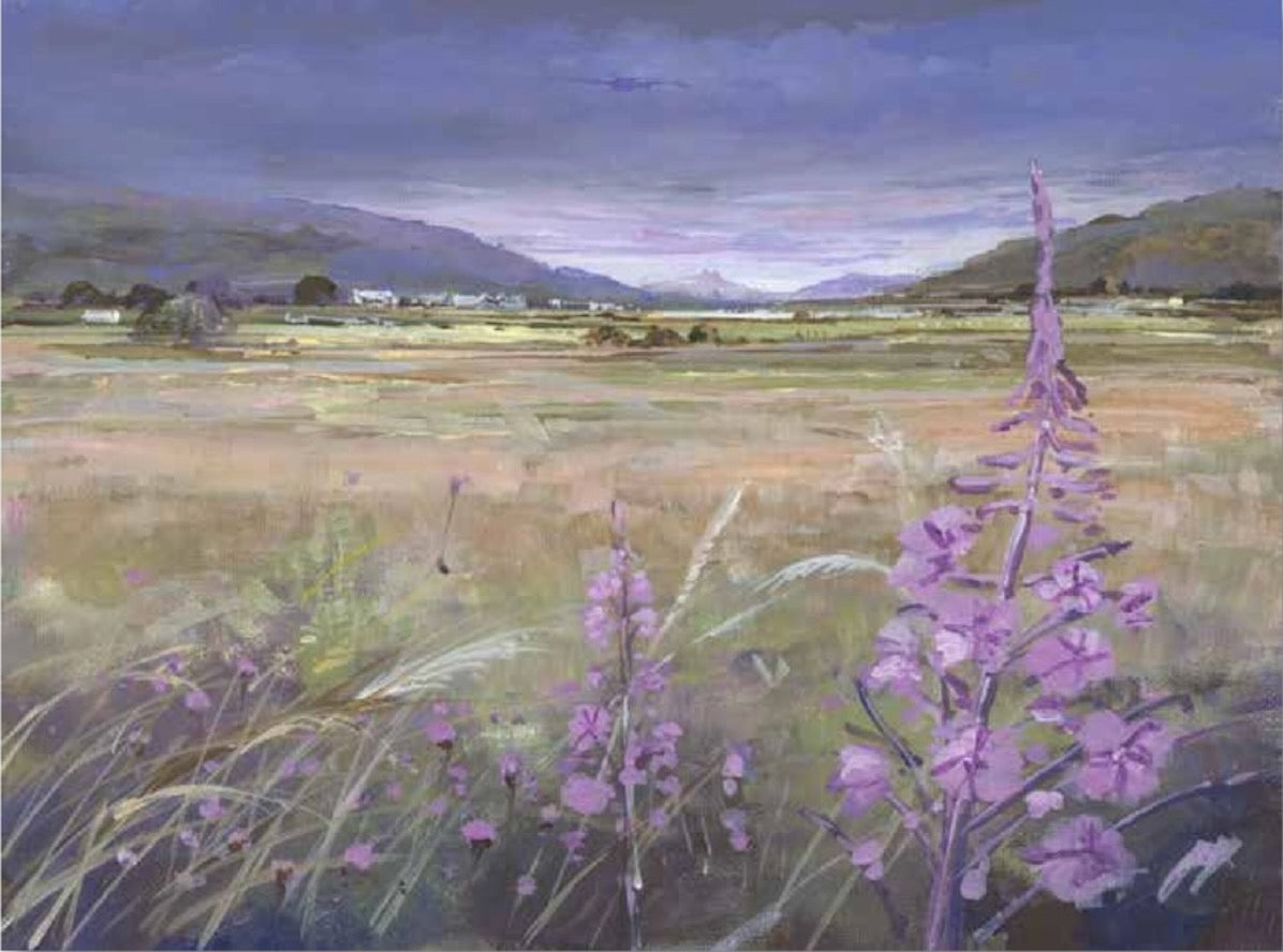 Wildflowers, Back o'Hill Stirling by Allison Young