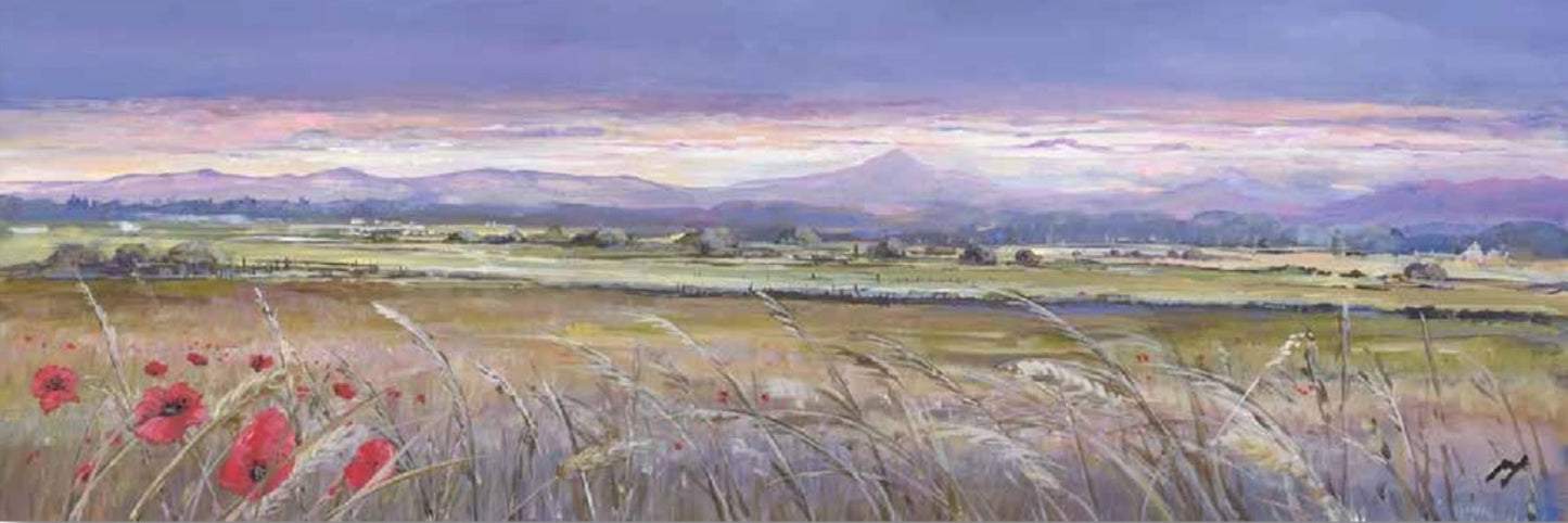 Sunset and Poppies, Back o'Hill Stirling by Allison Young