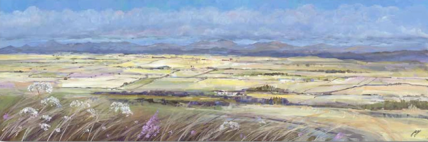 Harvest Fields near Stirling by A Young