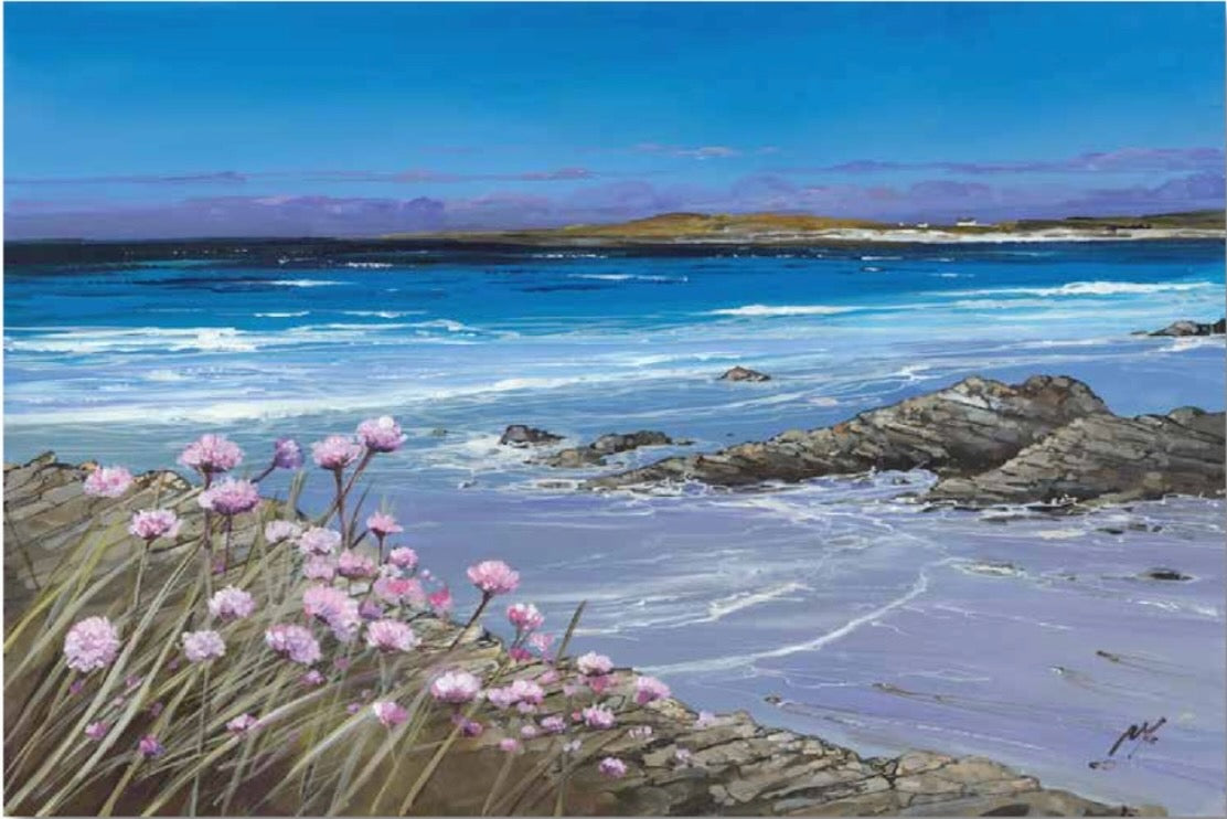 Sea Pinks, Tiree by Allison Young