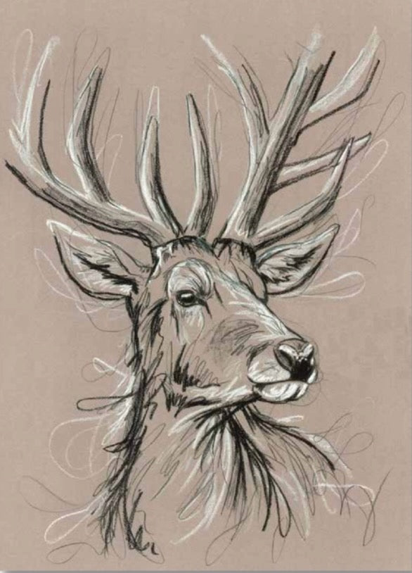 White Hart Stag Art Print by Tori Ratcliffe