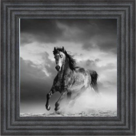 Horse in Sandstorm - Black and White
