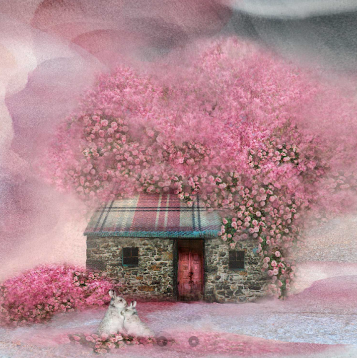 Blossom Bothy - by Esther Cohen