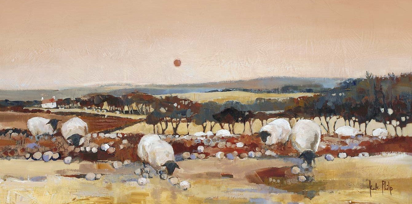 Sheep at Dusk (Limited Edition) by Kate Philp