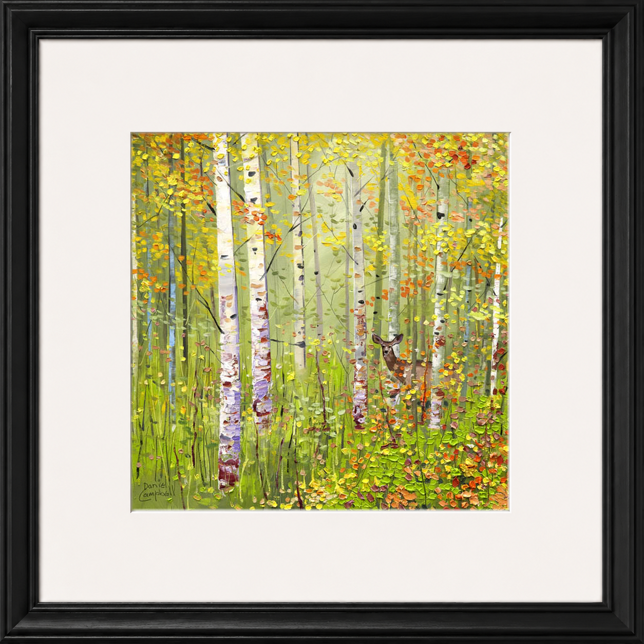 Silver Birches in Spring by Daniel Campbell framed wall art print showing silver birch trees in fresh spring greens and soft woodland colours
