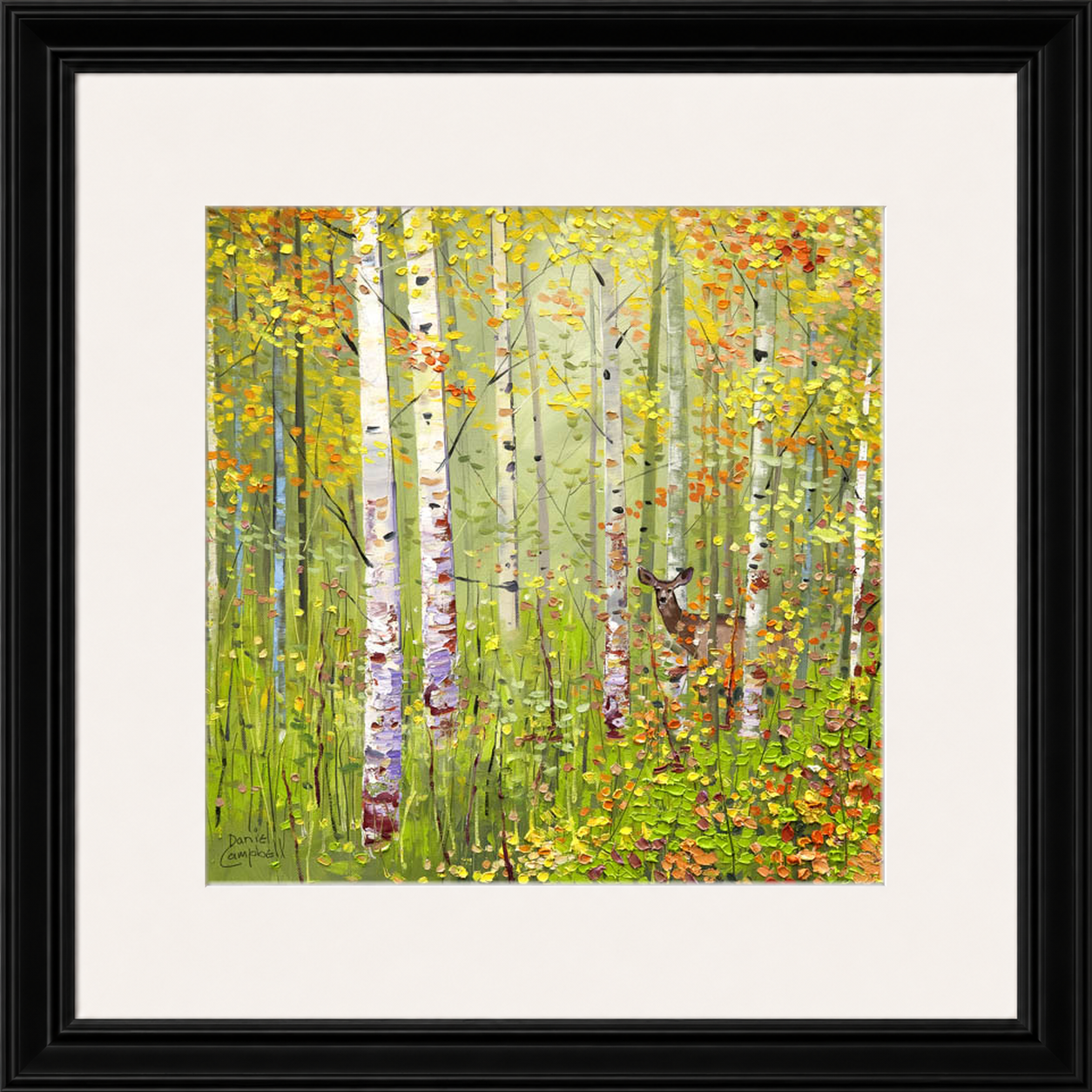 Silver Birches in Spring by Daniel Campbell framed wall art print showing silver birch trees in fresh spring greens and soft woodland colours