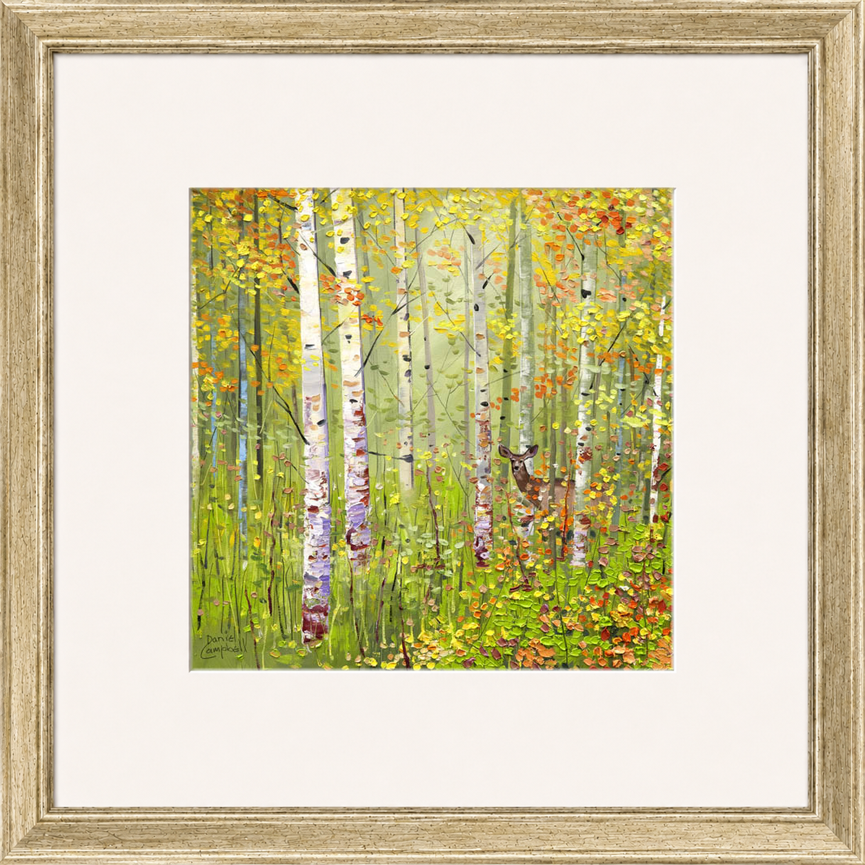 Silver Birches in Spring by Daniel Campbell framed wall art print showing silver birch trees in fresh spring greens and soft woodland colours